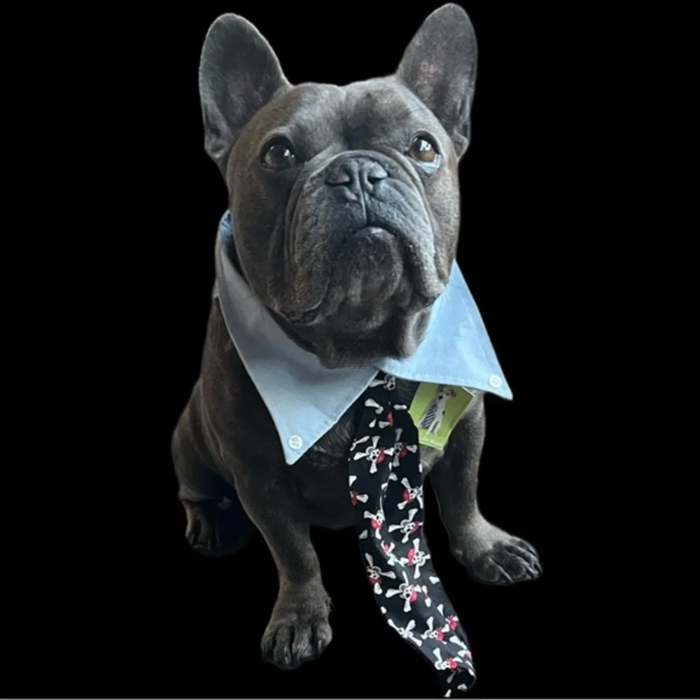 PETEYDESIGNS Dog pirate print Tie/NWT - Picture 1 of 10
